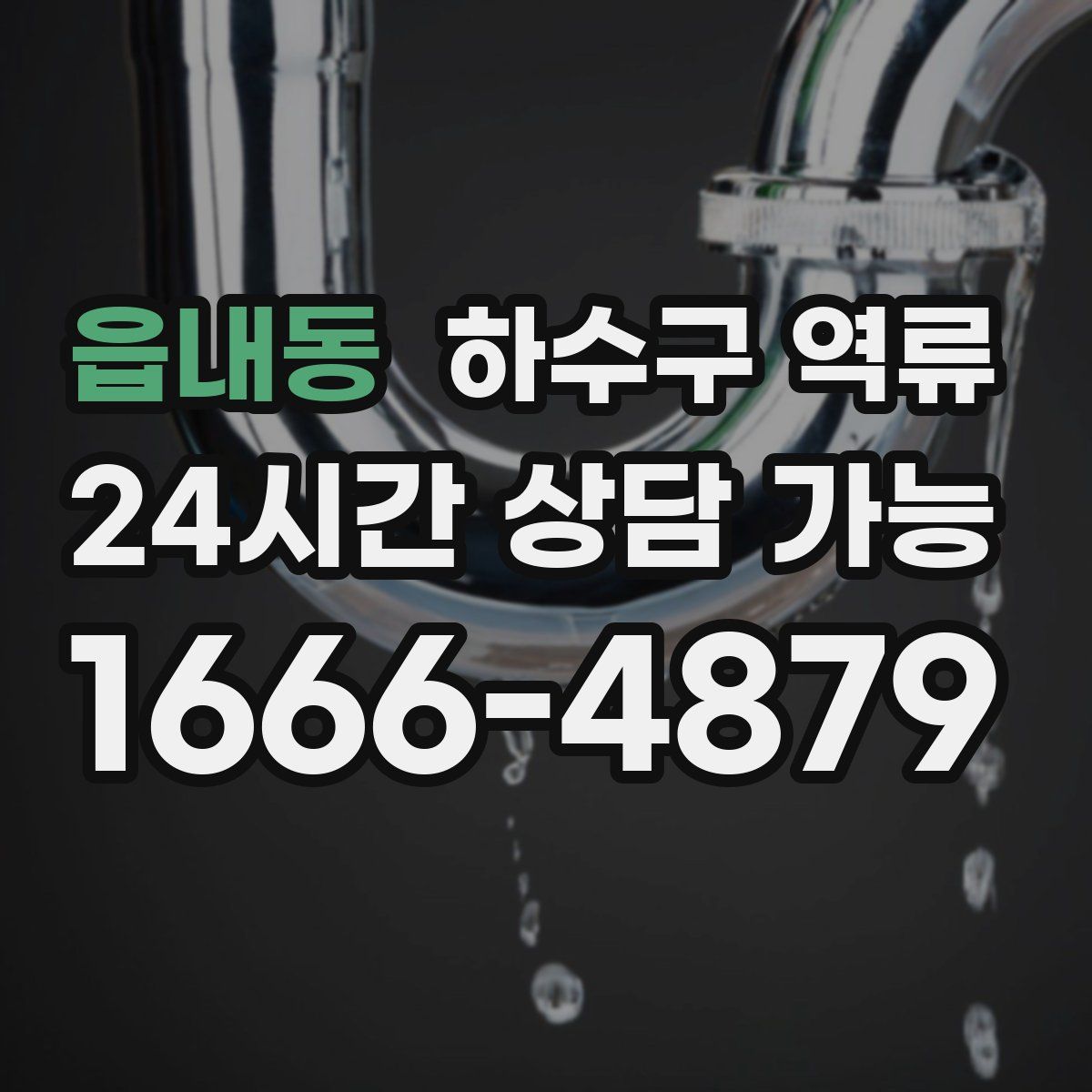 읍내동 하수구 역류