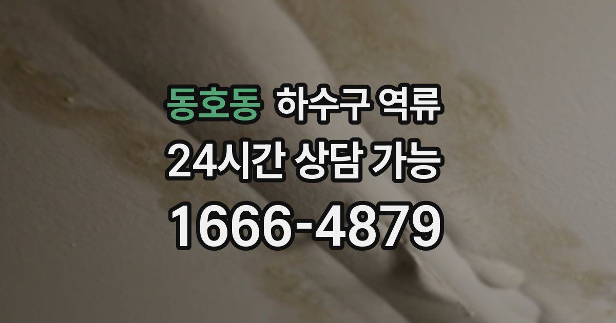 동호동 하수구 역류