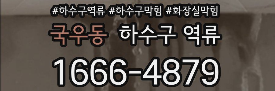 국우동 하수구 역류