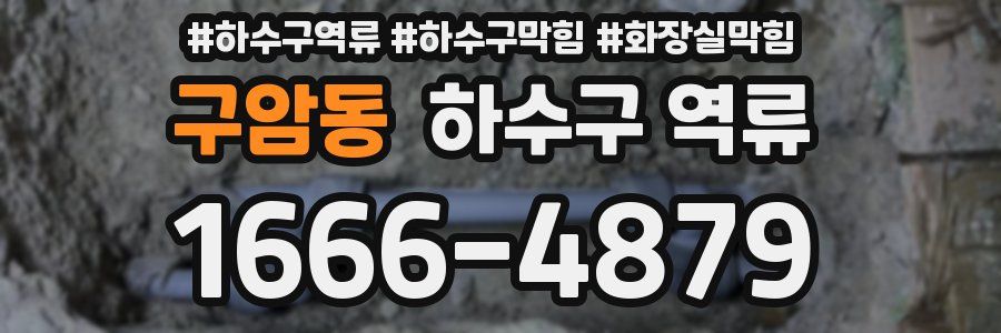 구암동 하수구 역류