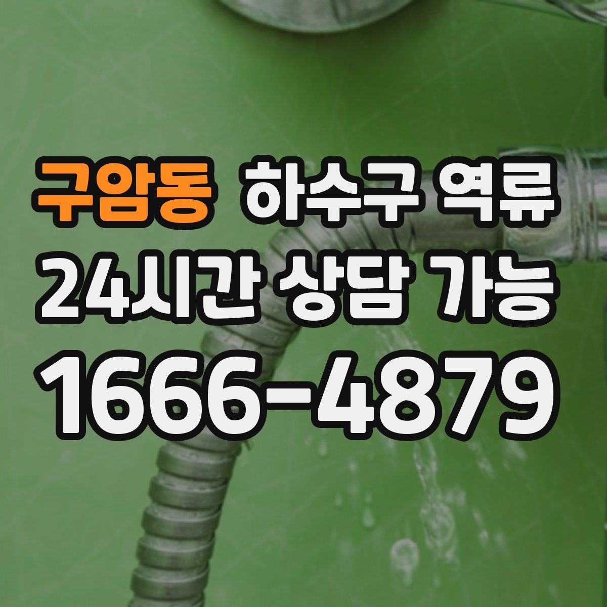 구암동 하수구 역류