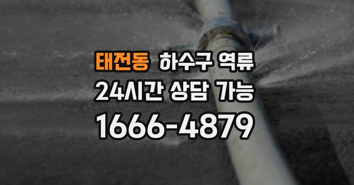 태전동 하수구 역류