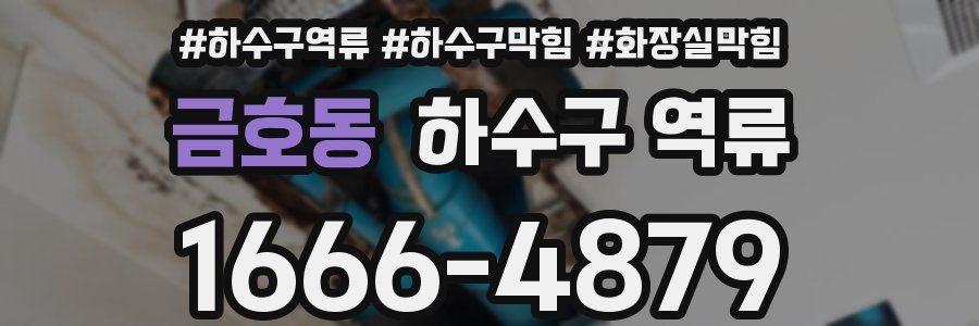 금호동 하수구 역류