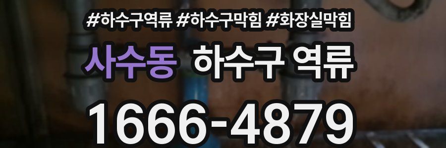 사수동 하수구 역류