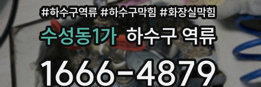 수성동1가 하수구 역류