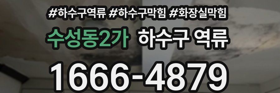 수성동2가 하수구 역류