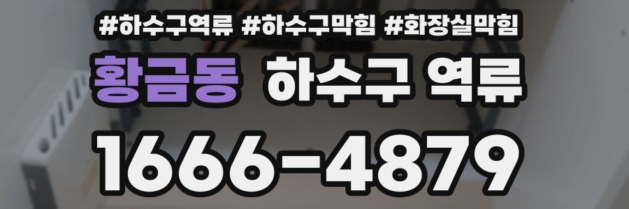 황금동 하수구 역류