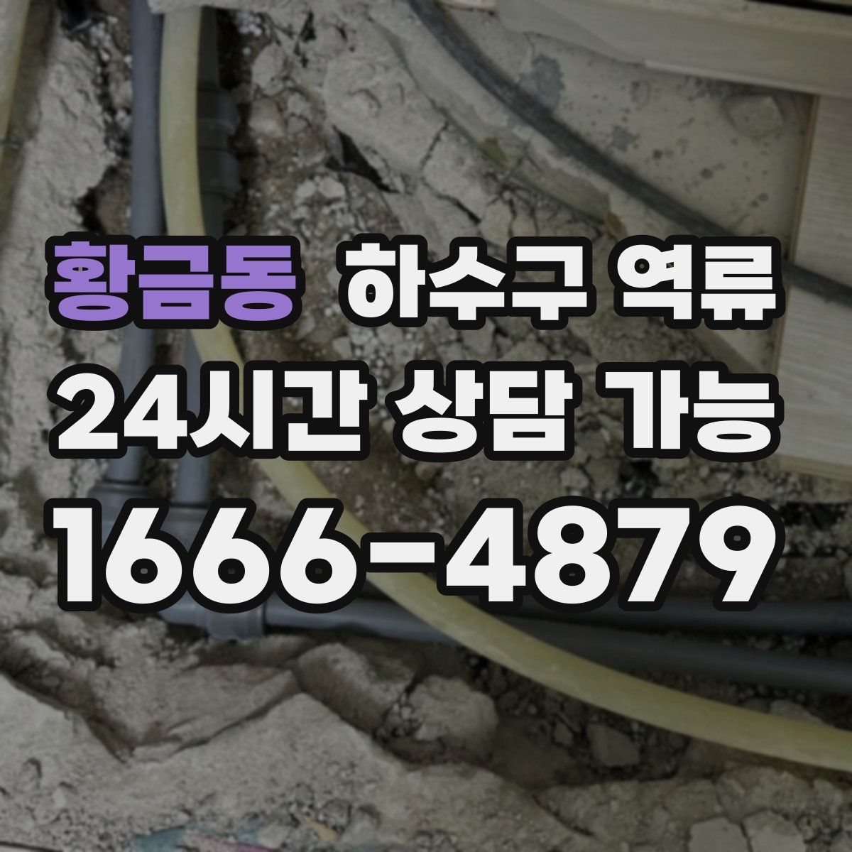 황금동 하수구 역류