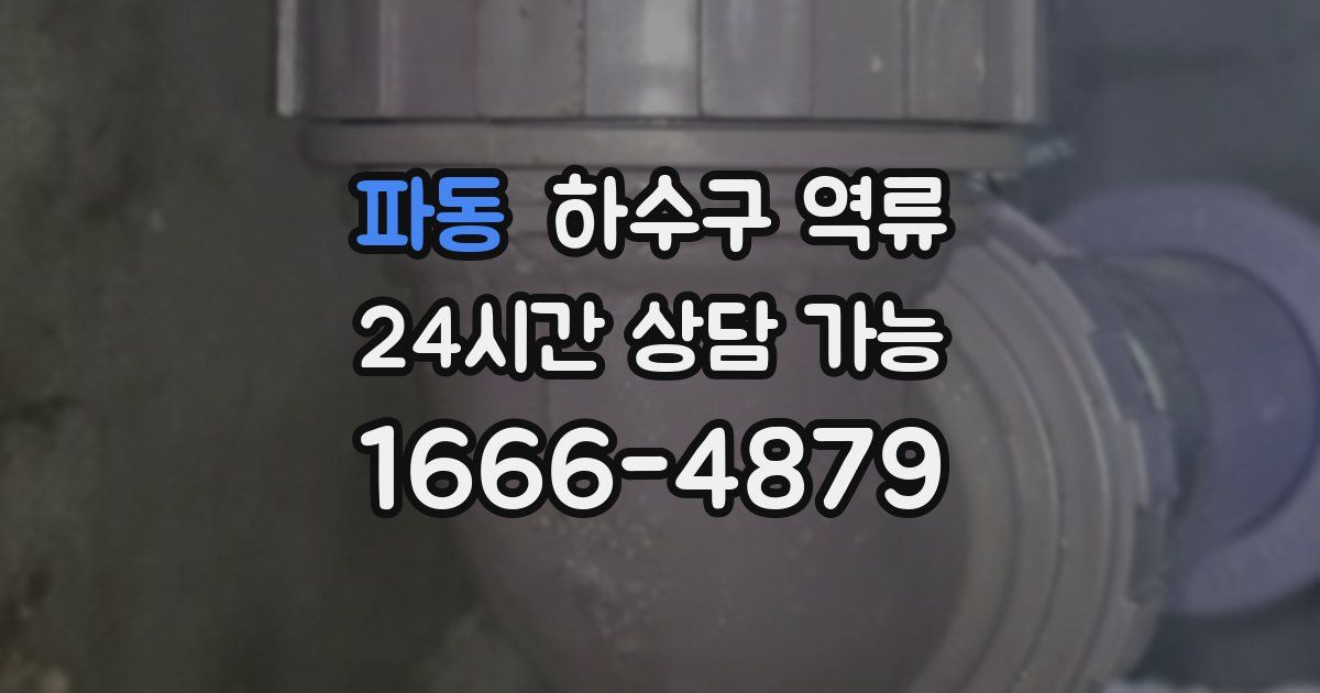 파동 하수구 역류