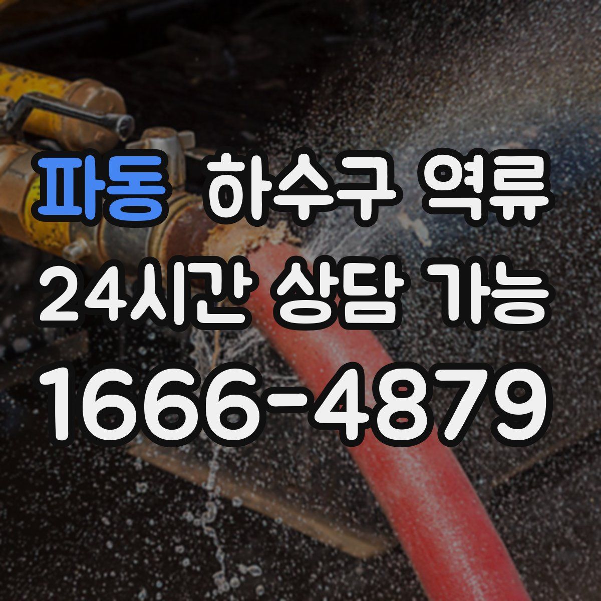 파동 하수구 역류