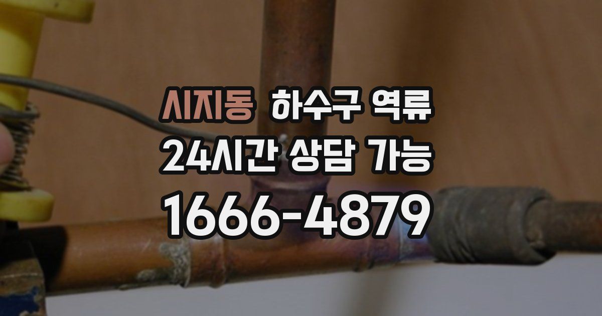 시지동 하수구 역류