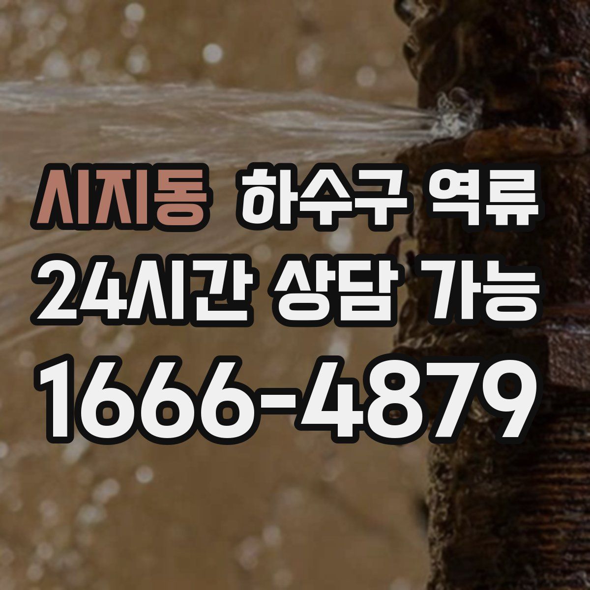 시지동 하수구 역류