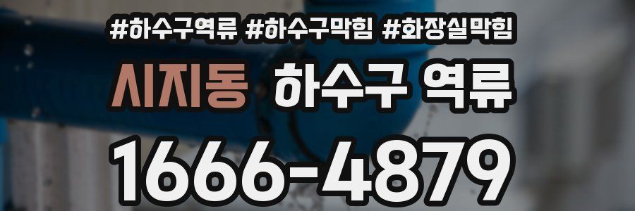 시지동 하수구 역류