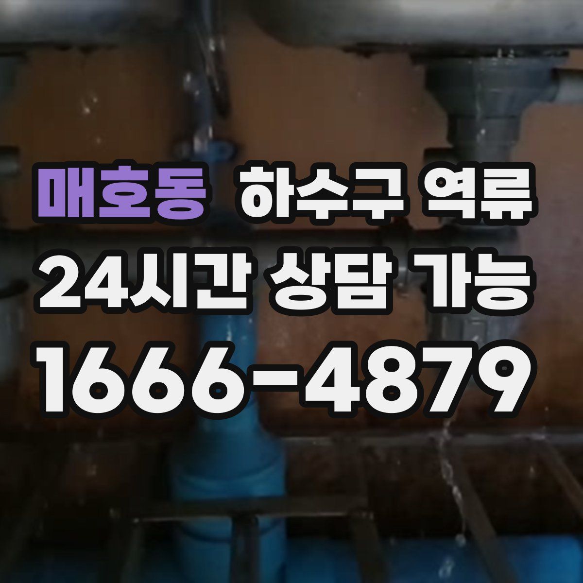 매호동 하수구 역류
