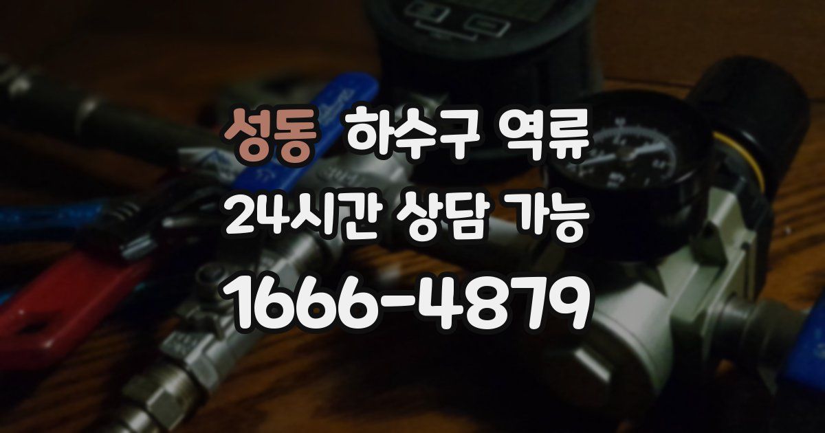 성동 하수구 역류