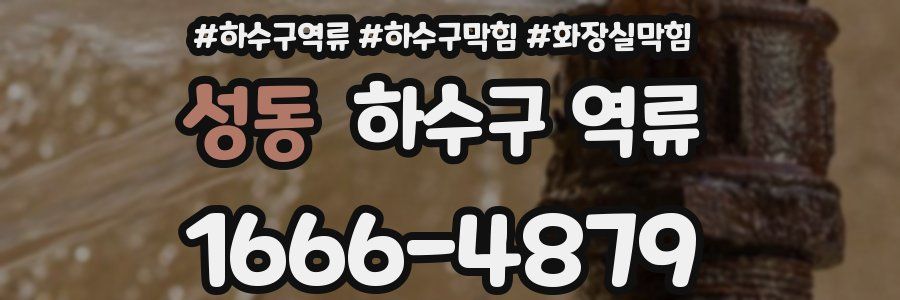 성동 하수구 역류