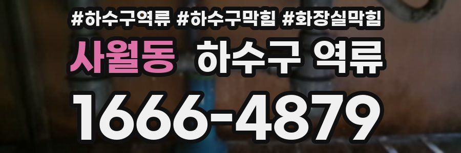 사월동 하수구 역류