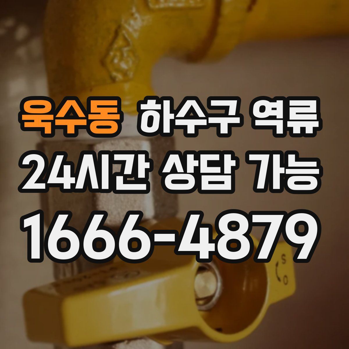 욱수동 하수구 역류