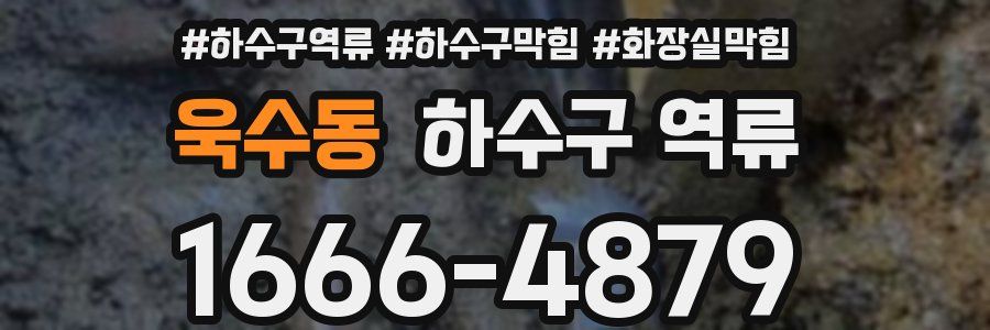 욱수동 하수구 역류
