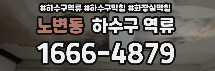 노변동 하수구 역류