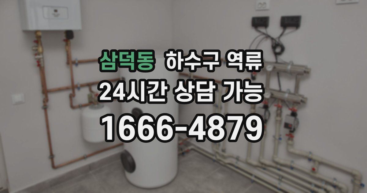 삼덕동 하수구 역류