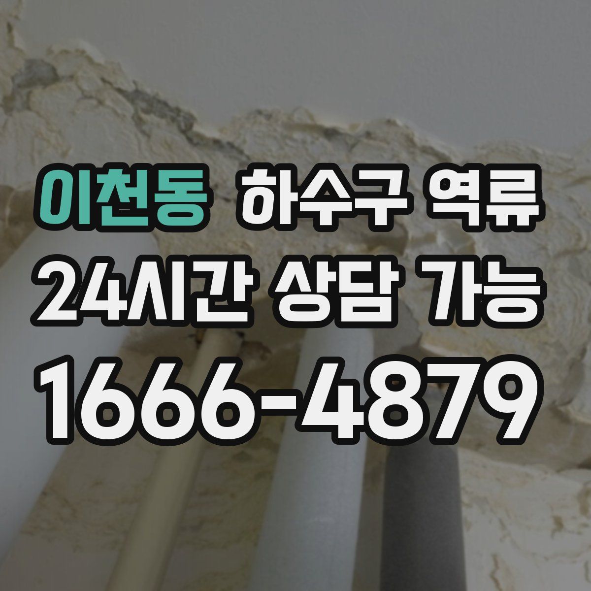 이천동 하수구 역류