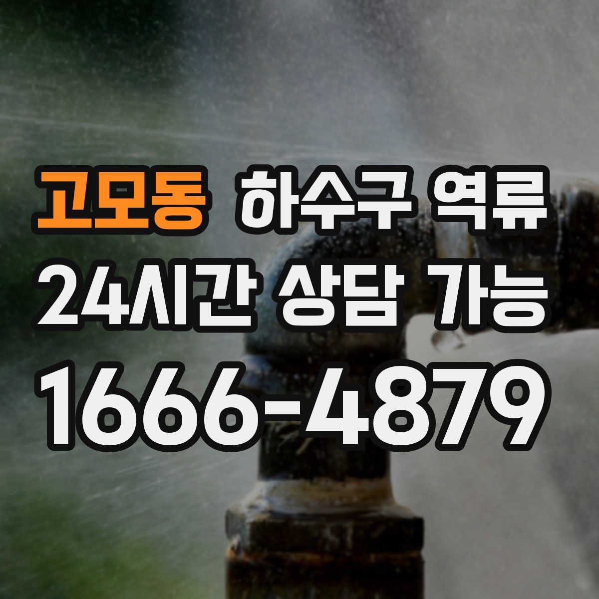 고모동 하수구 역류