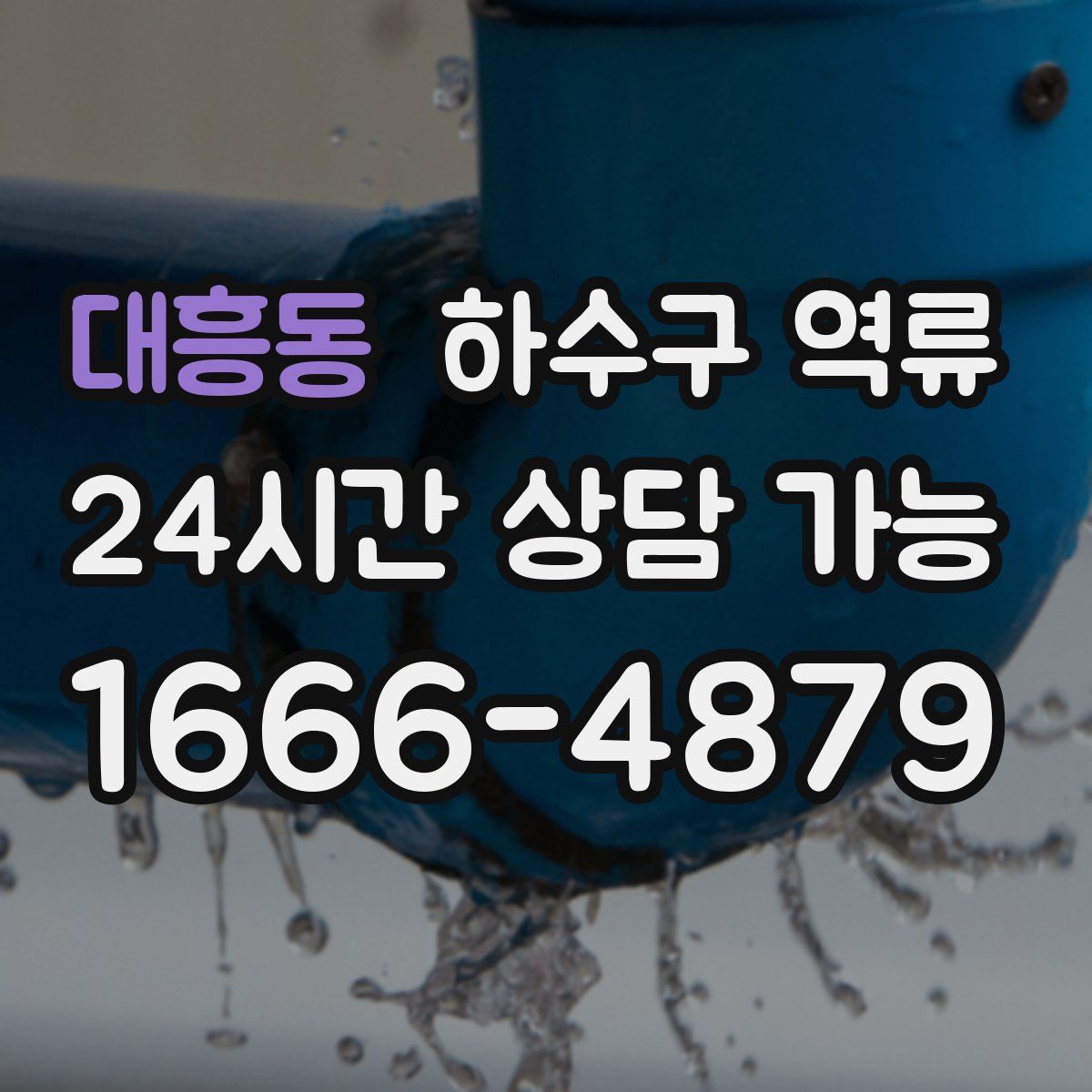 대흥동 하수구 역류