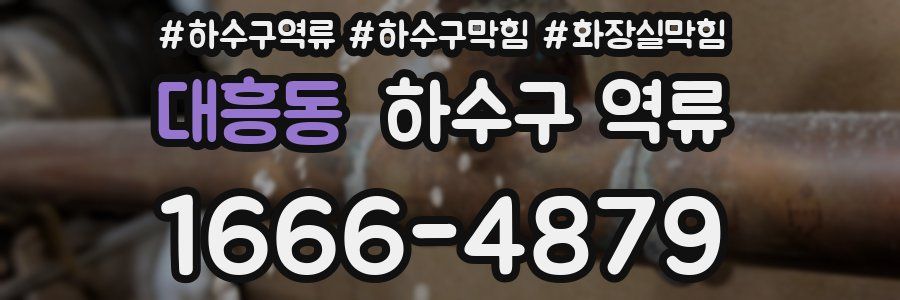 대흥동 하수구 역류