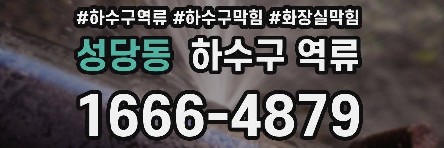 성당동 하수구 역류