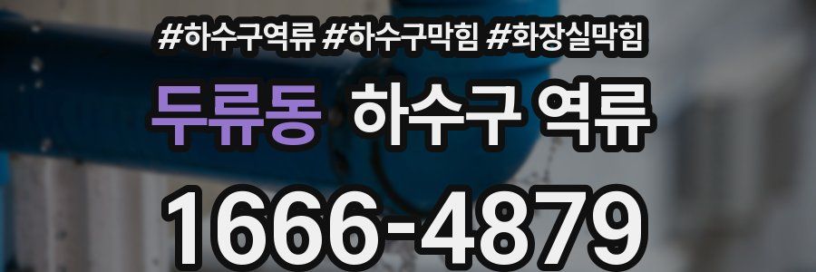 두류동 하수구 역류