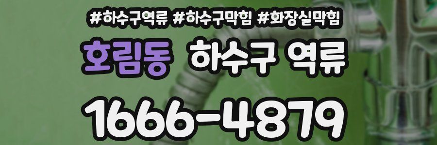 호림동 하수구 역류
