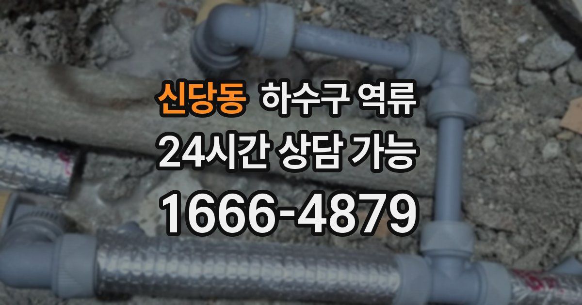 신당동 하수구 역류