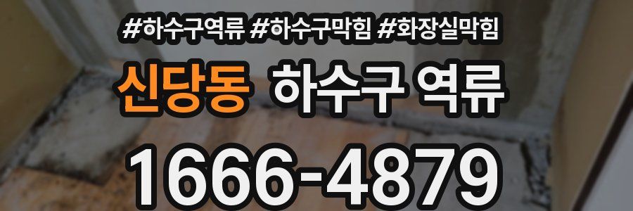 신당동 하수구 역류