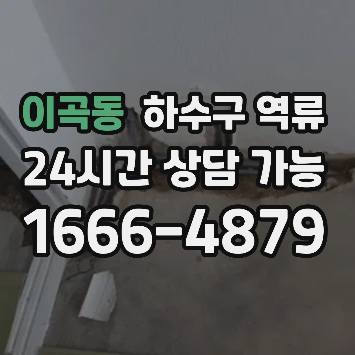 이곡동 하수구 역류