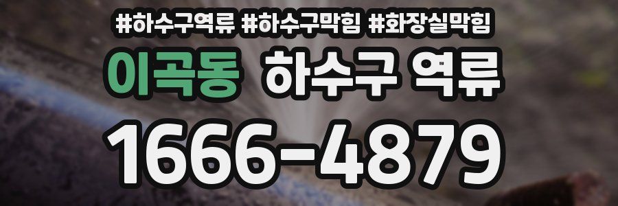 이곡동 하수구 역류