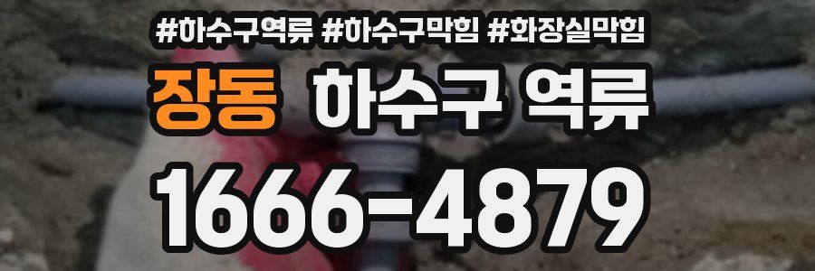 장동 하수구 역류