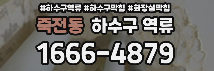 죽전동 하수구 역류