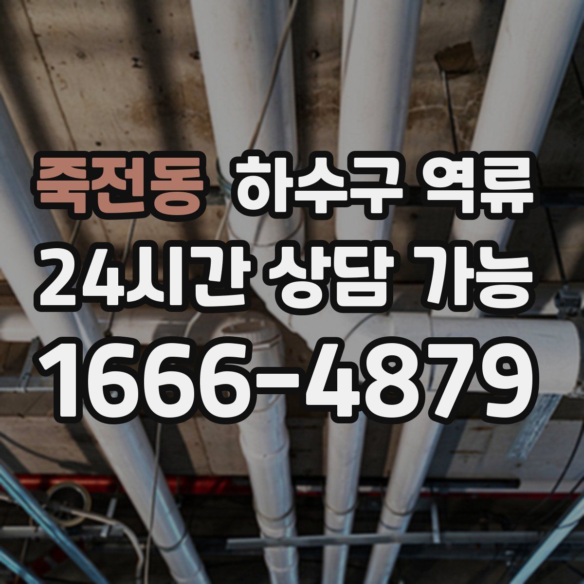 죽전동 하수구 역류