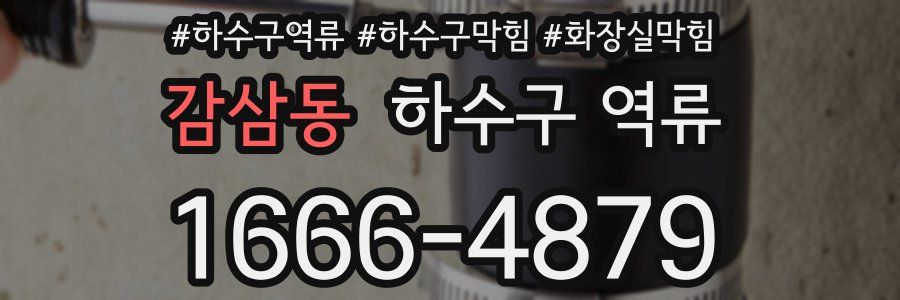 감삼동 하수구 역류