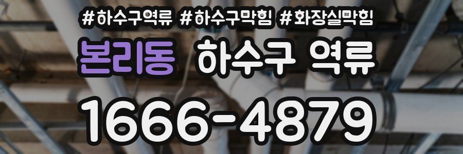 본리동 하수구 역류