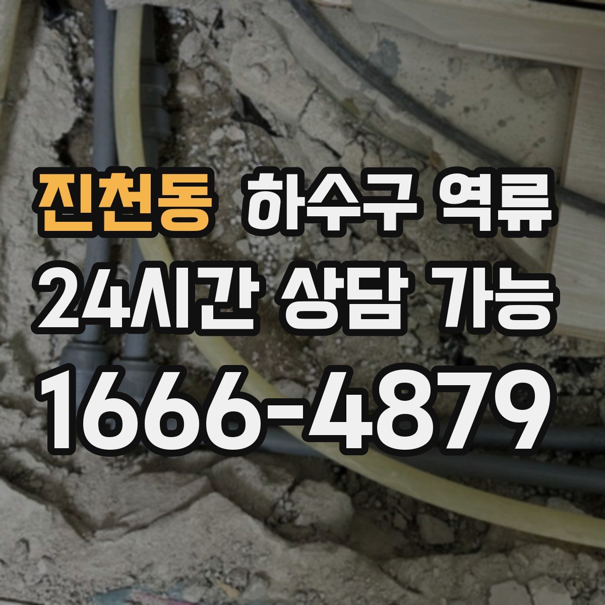 진천동 하수구 역류