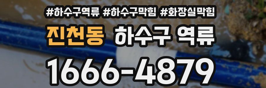 진천동 하수구 역류