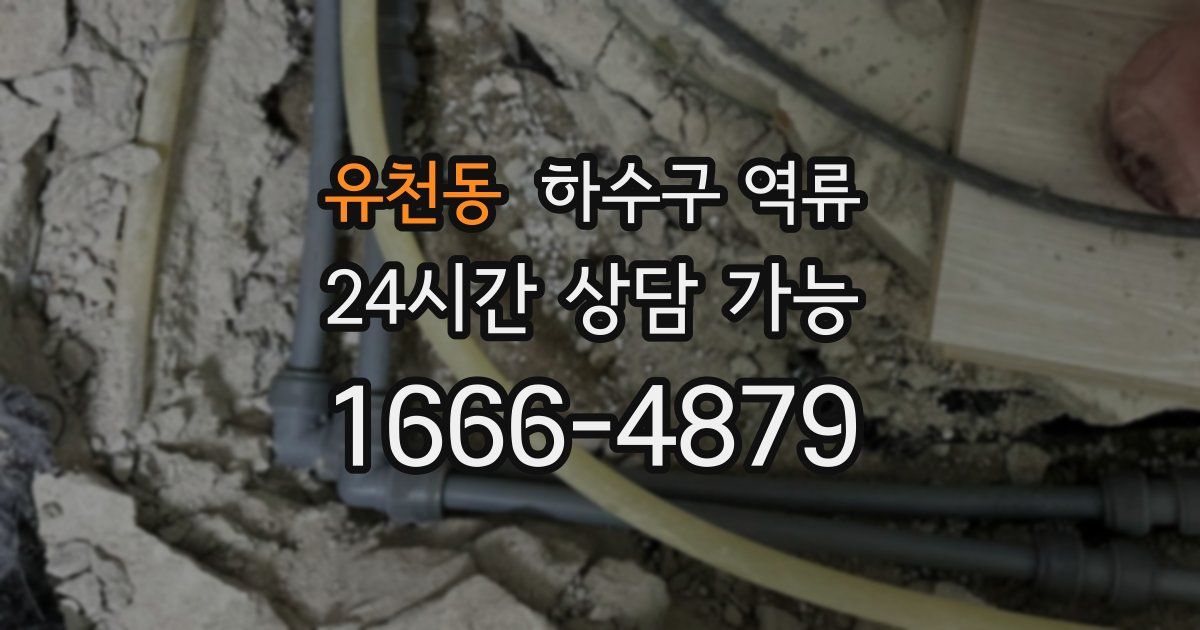 유천동 하수구 역류