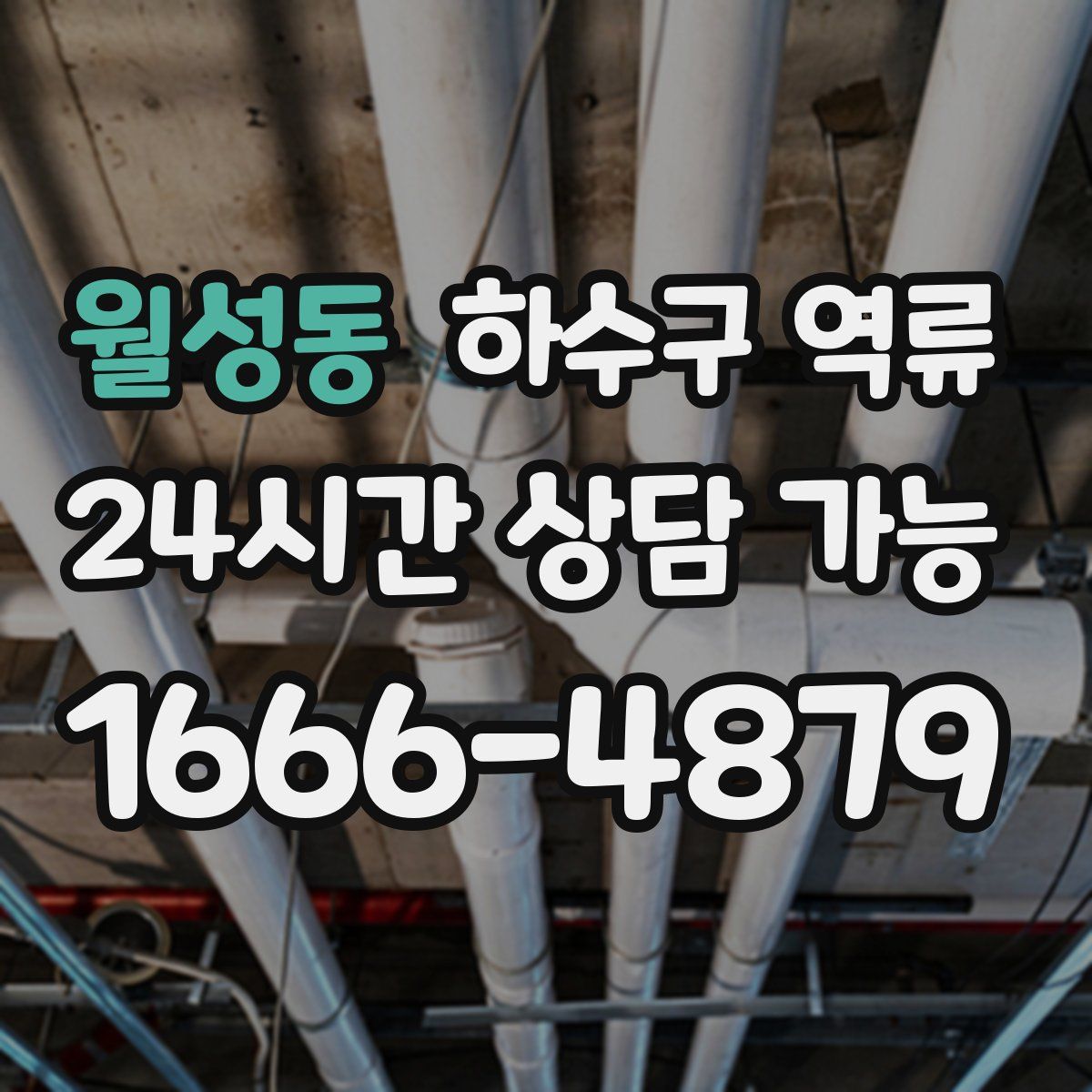 월성동 하수구 역류