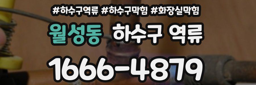 월성동 하수구 역류