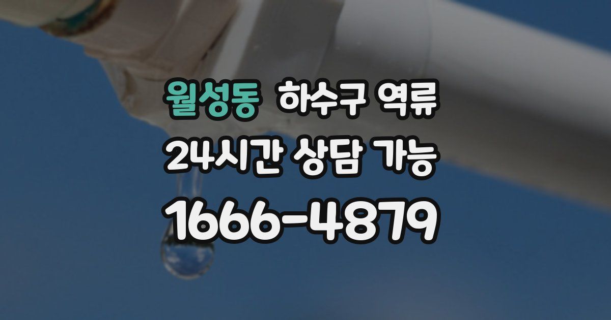 월성동 하수구 역류