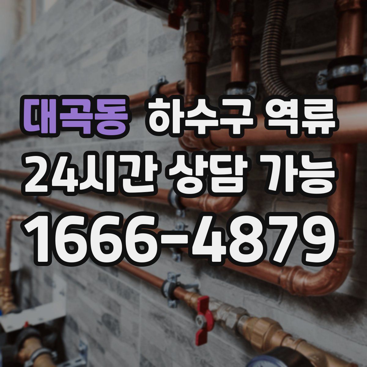 대곡동 하수구 역류