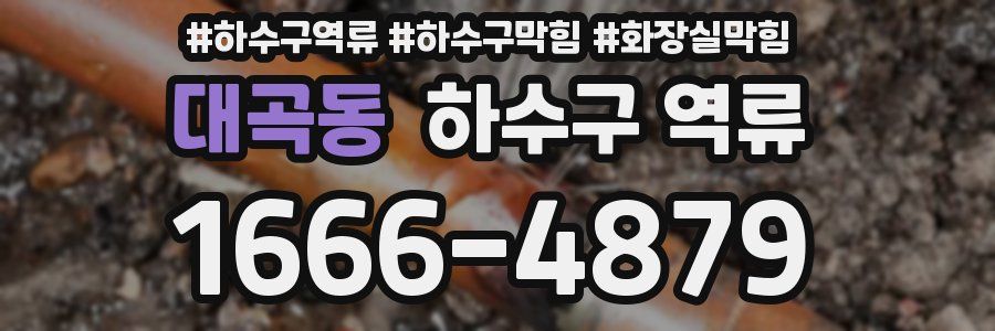 대곡동 하수구 역류