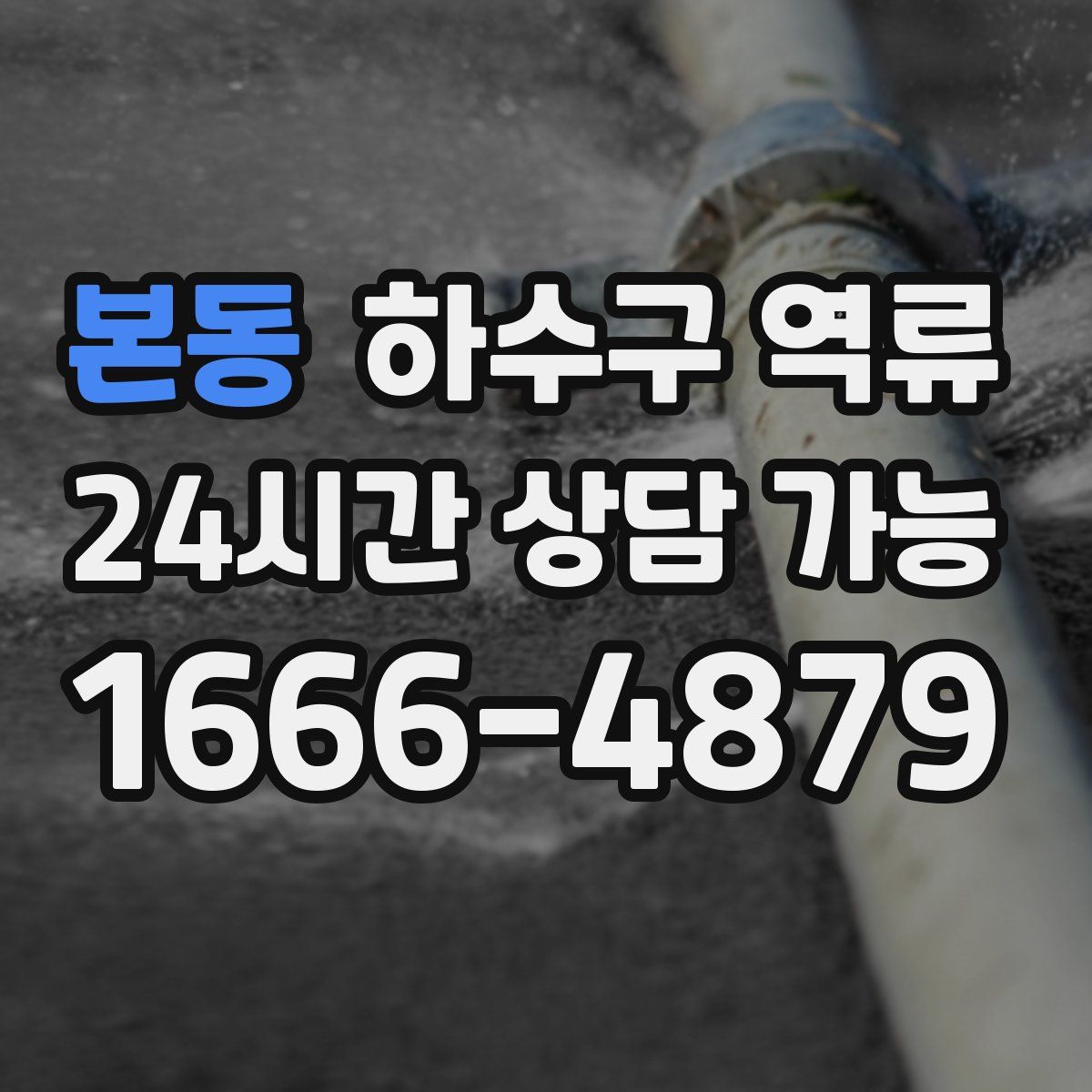 본동 하수구 역류